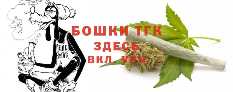 Бошки Шишки VHQ  Сокол 